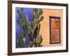 Southwestern Cactus and Window, Tucson, Arizona, USA-Tom Haseltine-Framed Photographic Print