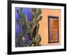 Southwestern Cactus and Window, Tucson, Arizona, USA-Tom Haseltine-Framed Photographic Print