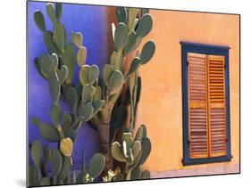 Southwestern Cactus and Window, Tucson, Arizona, USA-Tom Haseltine-Mounted Photographic Print