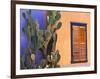 Southwestern Cactus and Window, Tucson, Arizona, USA-Tom Haseltine-Framed Photographic Print