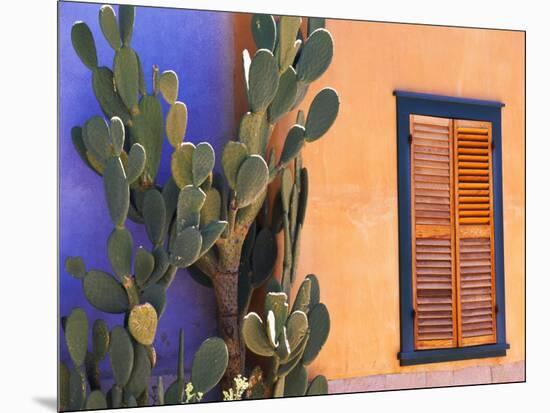 Southwestern Cactus and Window, Tucson, Arizona, USA-Tom Haseltine-Mounted Photographic Print