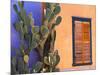 Southwestern Cactus and Window, Tucson, Arizona, USA-Tom Haseltine-Mounted Photographic Print