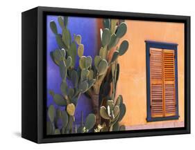 Southwestern Cactus and Window, Tucson, Arizona, USA-Tom Haseltine-Framed Stretched Canvas
