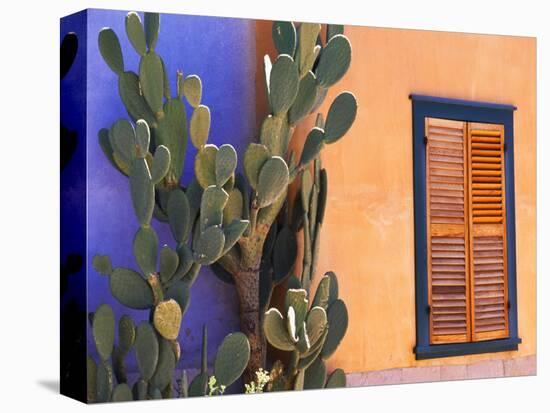 Southwestern Cactus and Window, Tucson, Arizona, USA-Tom Haseltine-Stretched Canvas