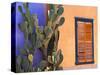 Southwestern Cactus and Window, Tucson, Arizona, USA-Tom Haseltine-Stretched Canvas