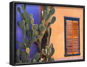 Southwestern Cactus and Window, Tucson, Arizona, USA-Tom Haseltine-Framed Photographic Print