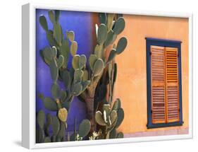 Southwestern Cactus and Window, Tucson, Arizona, USA-Tom Haseltine-Framed Photographic Print