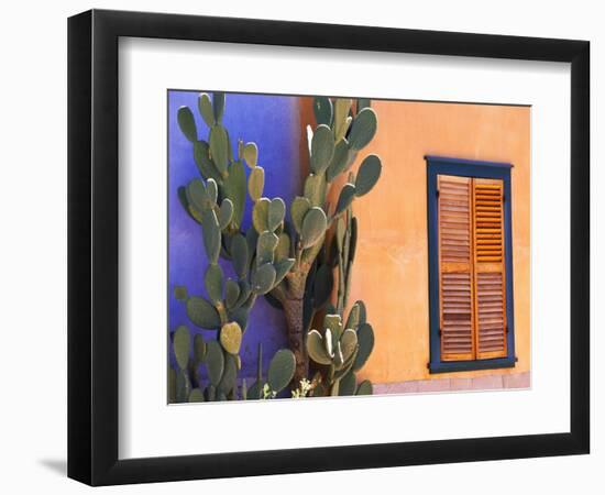 Southwestern Cactus and Window, Tucson, Arizona, USA-Tom Haseltine-Framed Photographic Print