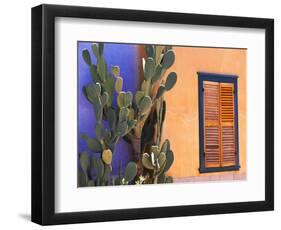 Southwestern Cactus and Window, Tucson, Arizona, USA-Tom Haseltine-Framed Photographic Print