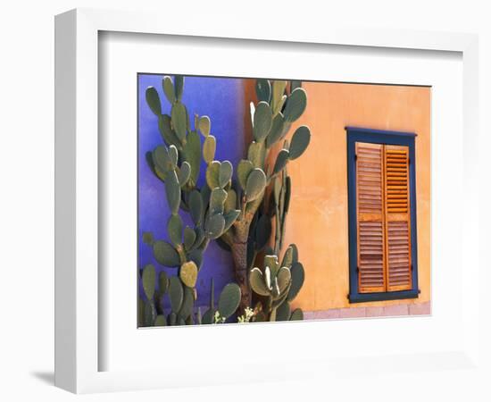 Southwestern Cactus and Window, Tucson, Arizona, USA-Tom Haseltine-Framed Photographic Print