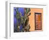 Southwestern Cactus and Window, Tucson, Arizona, USA-Tom Haseltine-Framed Photographic Print