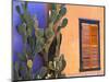 Southwestern Cactus and Window, Tucson, Arizona, USA-Tom Haseltine-Mounted Photographic Print