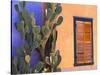 Southwestern Cactus and Window, Tucson, Arizona, USA-Tom Haseltine-Stretched Canvas