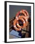 Southwold Ferry Lifebelts, Sussex Harbour, Southwold, Suffolk, England, United Kingdom-David Hunter-Framed Photographic Print