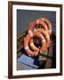 Southwold Ferry Lifebelts, Sussex Harbour, Southwold, Suffolk, England, United Kingdom-David Hunter-Framed Photographic Print