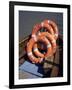 Southwold Ferry Lifebelts, Sussex Harbour, Southwold, Suffolk, England, United Kingdom-David Hunter-Framed Photographic Print