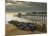 Southwold Pier in the Early Morning, Southwold, Suffolk, England, United Kingdom, Europe-Neale Clark-Mounted Photographic Print