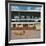 Southwold Sailing Club-Chris Ross Williamson-Framed Giclee Print