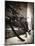 Souvenier-Tina Lavoie-Mounted Photographic Print