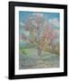 Souvenir de Mauve-Vincent van Gogh-Framed Collectable Print