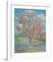 Souvenir de Mauve-Vincent van Gogh-Framed Collectable Print