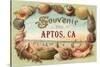 Souvenir from Aptos, California-null-Stretched Canvas