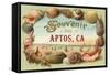 Souvenir from Aptos, California-null-Framed Stretched Canvas