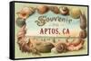 Souvenir from Aptos, California-null-Framed Stretched Canvas