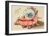 Souvenir from Avon-by-the-Sea, New Jersey-null-Framed Art Print