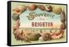 Souvenir from Brighton, England-null-Framed Stretched Canvas