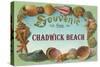 Souvenir from Chadwick Beach, New Jersey-null-Stretched Canvas