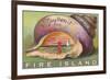 Souvenir from Fire Island, New York-null-Framed Premium Giclee Print