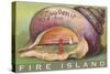 Souvenir from Fire Island, New York-null-Stretched Canvas