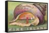 Souvenir from Fire Island, New York-null-Framed Stretched Canvas