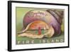 Souvenir from Fire Island, New York-null-Framed Art Print