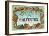 Souvenir from Galveston, Texas-null-Framed Art Print