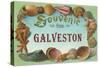 Souvenir from Galveston, Texas-null-Stretched Canvas