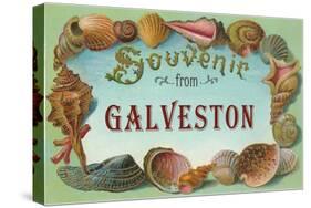 Souvenir from Galveston, Texas-null-Stretched Canvas