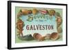 Souvenir from Galveston, Texas-null-Framed Art Print