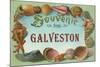 Souvenir from Galveston, Texas-null-Mounted Art Print