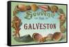 Souvenir from Galveston, Texas-null-Framed Stretched Canvas