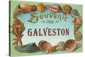 Souvenir from Galveston, Texas-null-Stretched Canvas