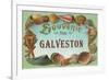 Souvenir from Galveston, Texas-null-Framed Premium Giclee Print