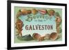 Souvenir from Galveston, Texas-null-Framed Premium Giclee Print