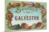 Souvenir from Galveston, Texas-null-Mounted Art Print