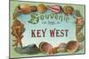 Souvenir from Key West, Florida-null-Mounted Art Print