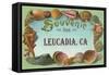 Souvenir from Leucadia, California-null-Framed Stretched Canvas