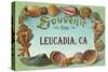 Souvenir from Leucadia, California-null-Stretched Canvas