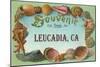 Souvenir from Leucadia, California-null-Mounted Art Print