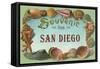 Souvenir from San Diego, California-null-Framed Stretched Canvas